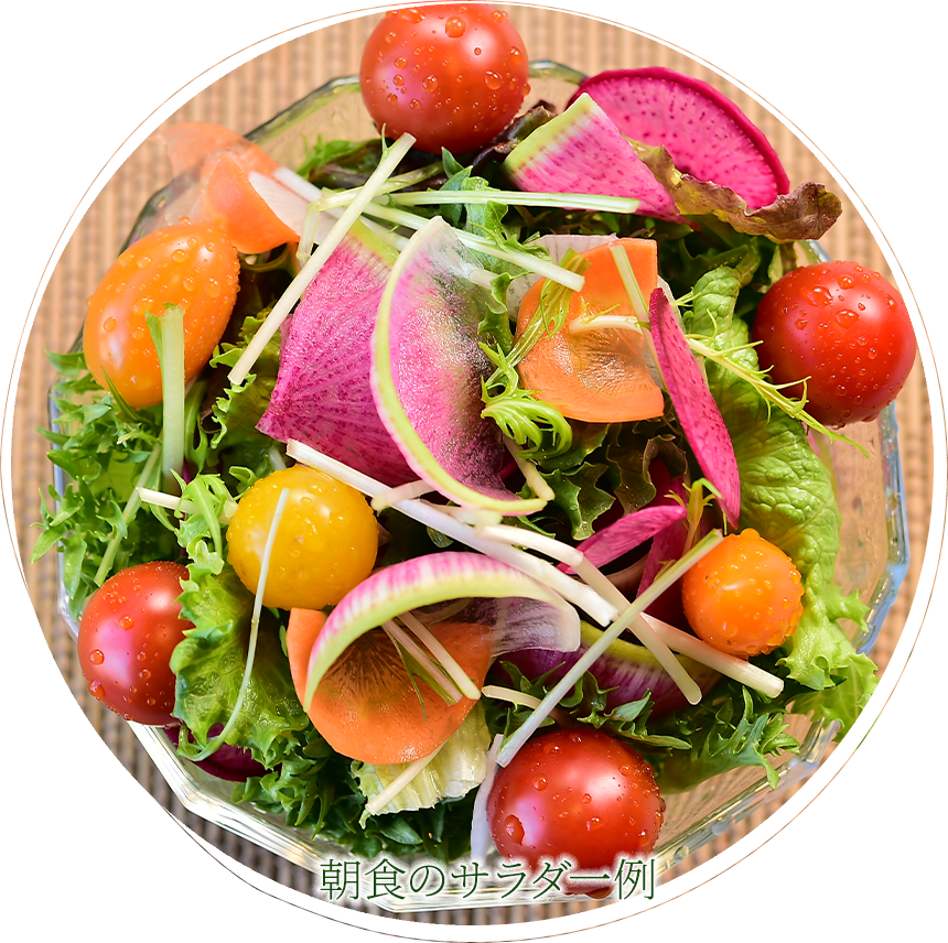 八ヶ岳高原の新鮮野菜 清里ペンションいずみ 自家菜園